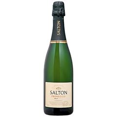 Espumante Salton Prosecco Brut 1x750ml