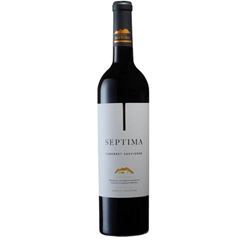 Vinho Septima Cab Sauvignon 1x750ml