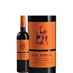 Vinho Ciconia Sirah Touriga Naicional 1x750ml