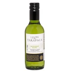 Vinho Leon Tarapaca Sauv Blanc 1x187.5ml