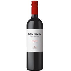 Vinho Benjamin Nieto Malbec Tto 1x750ml