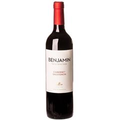 Vinho Benjamin Nieto Cabernet Sauvg Tto 1x750ml