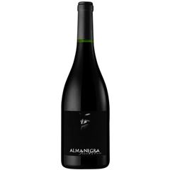 Vinho Alma Negra Pinot Noir 1x750ml