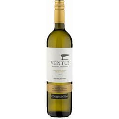 Vinho Ventus Sauvgnon Blanc Chardonnay 1x750ml