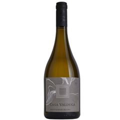 Vinho Casa Valduga Terroir Sauvignon Blanc 1x750ml