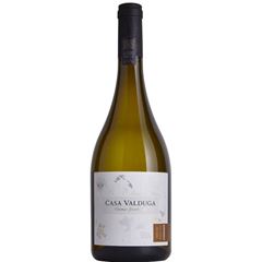 Vinho Casa Valduga Terroir Exclusivo Viognier 1x750ml