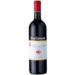 Vinho Barbera Dalba Pio Cesare Tto 1x750ml