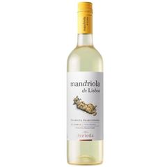 Vinho Mandriola De Lisboa Branco 1x750ml