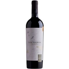 Vinho Casa Valduga Terroir Exclusivo Arinarnoa 1x750ml