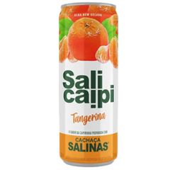 Bebida Mista Salinas Salicaipi Tangerina Lata 1x355ml