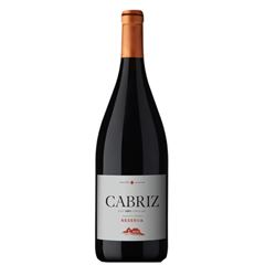 Vinho Cabriz Reserva Magum Tto Ip 1x1500ml