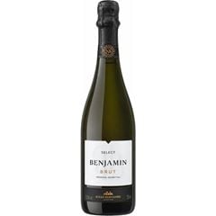 Espumante Nieto Senetiner Benjamin Brut Select 1x750ml
