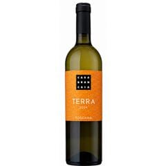 Vinho Brancaia Terra Tinto 1x750ml