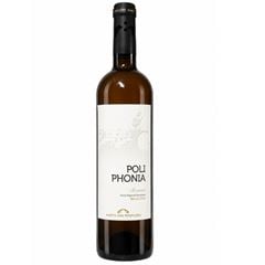 Vinho Poliphonia Reserva Branco 1x750ml