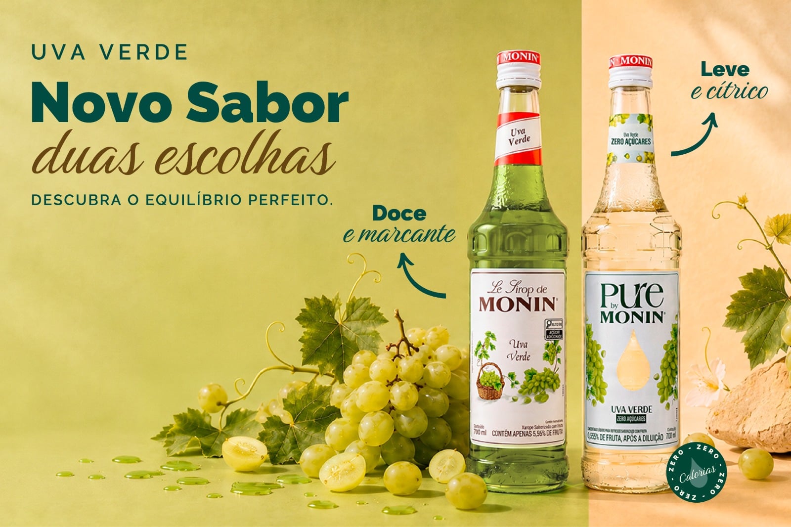 Novidades Monin!